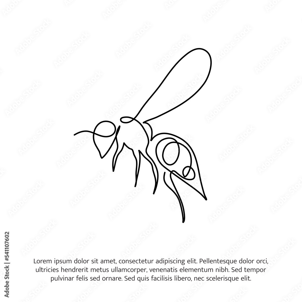 Honey bee one continuous line drawing. Cute decoration hand drawn elements. Vector illustration of minimalistic style on a white background. Honey bee one continuous line drawing. Cute decoration hand drawn elements. Vector illustration of minimalistic style on a white background.