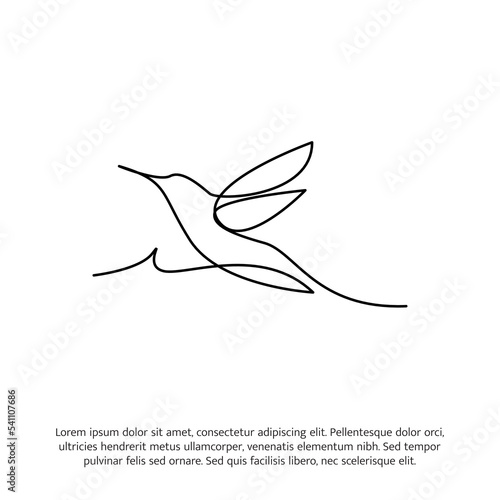 Hummingbird one continuous line drawing. Cute decoration hand drawn elements. Vector illustration of minimalist style on a white background.