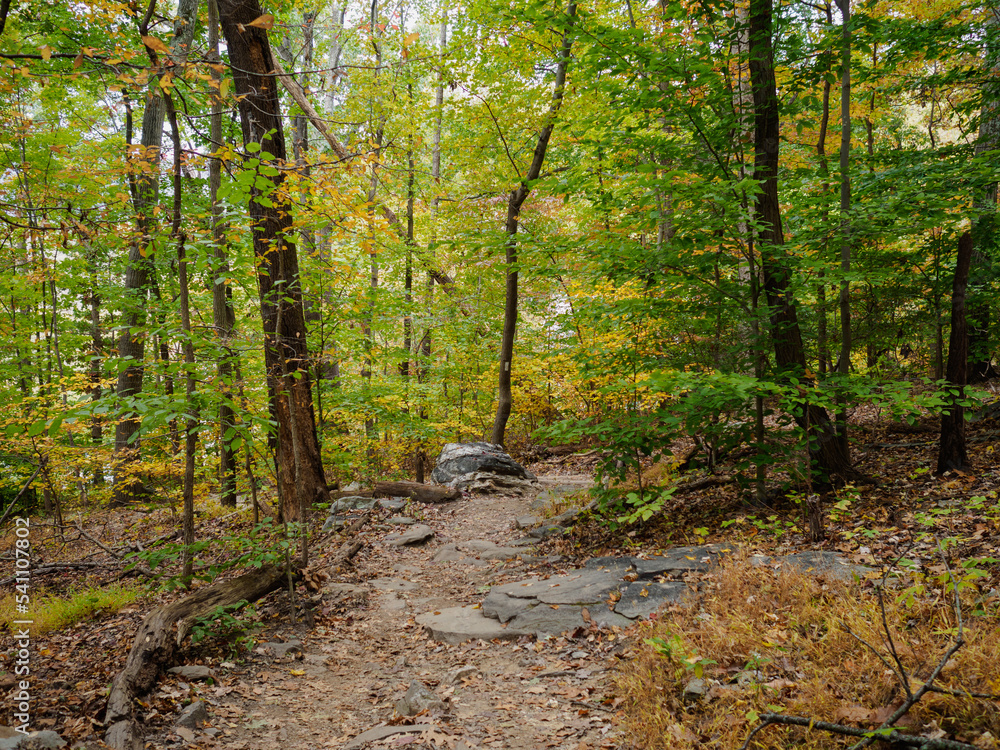 Fototapeta premium A Fall Hike in Maryland