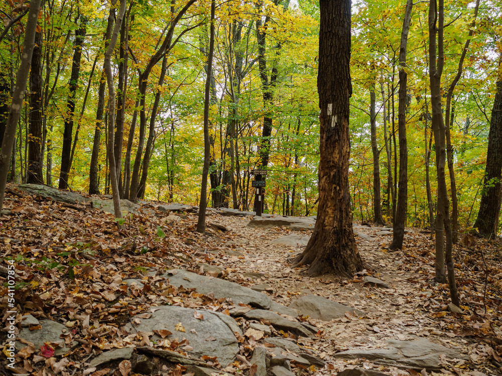 A Fall Hike in Maryland A Fall Hike in Maryland