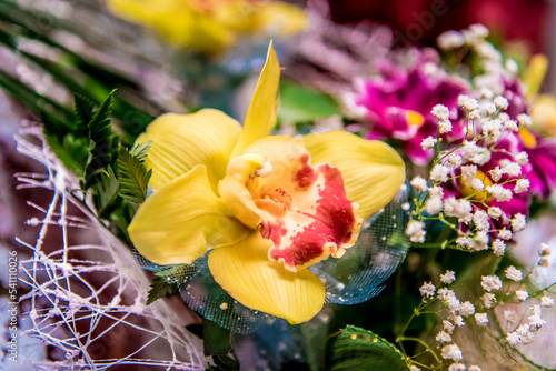 Colorful flowers