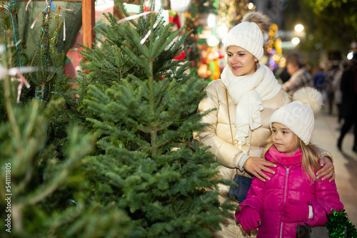 Pleasant woman with daughter buying Christmas tree in market. High quality photo