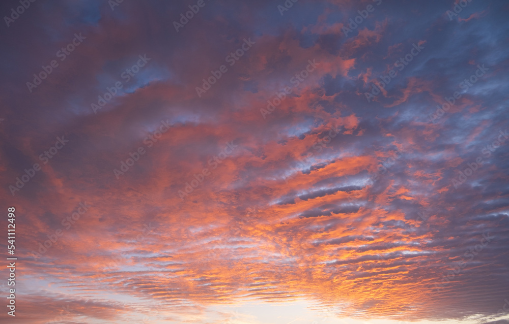 Stunning colorful sunset, blue sky, yellow purple cirrus clouds.