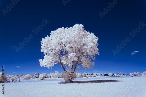 infrared photography - ir photo of landscape under sky with clouds - the art of our world in the infrared spectrum