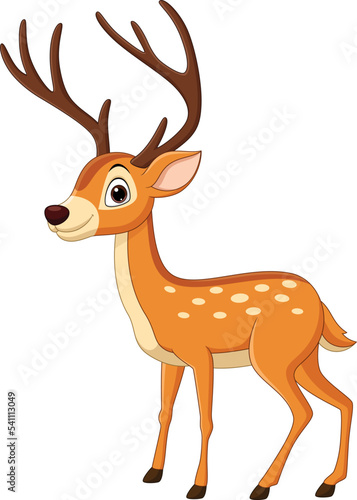 Cartoon funny deer on white background