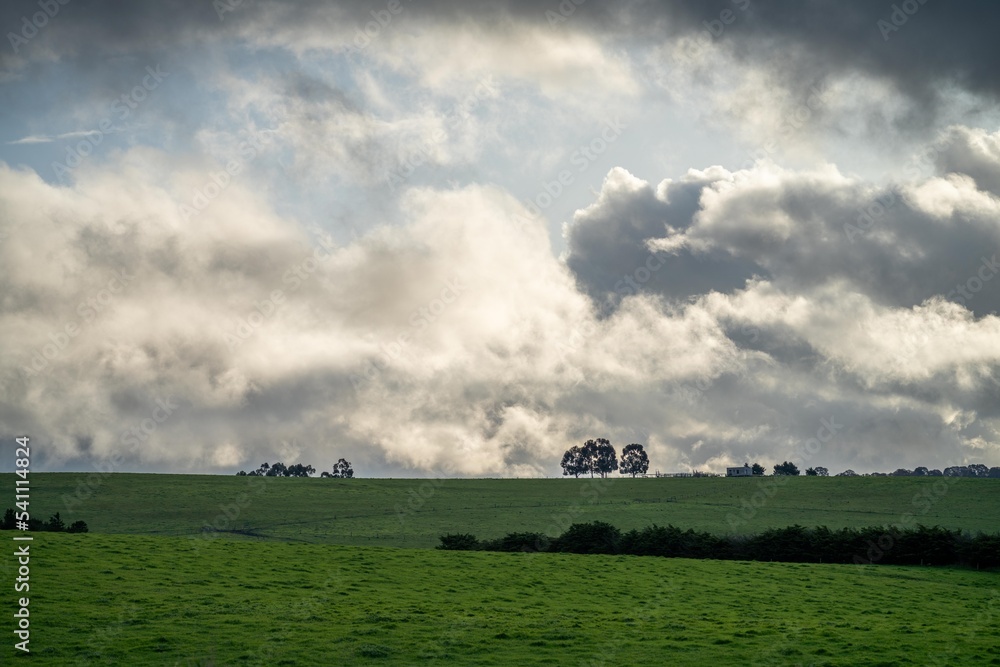Obraz premium farming landscapes in spring time in new zealand