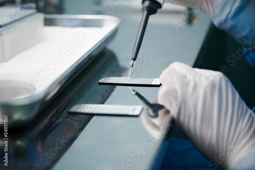 Lab specialist works with plastic slide and spirit lamp