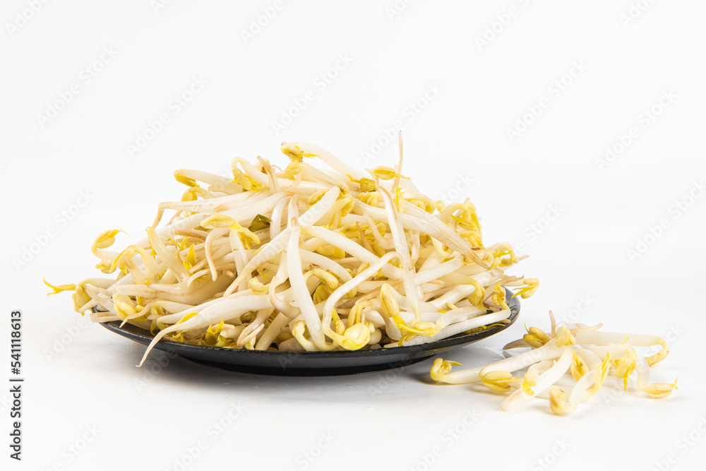 raw mung bean sprouts in plate isolated on White Background raw mung bean sprouts in plate isolated on White Background