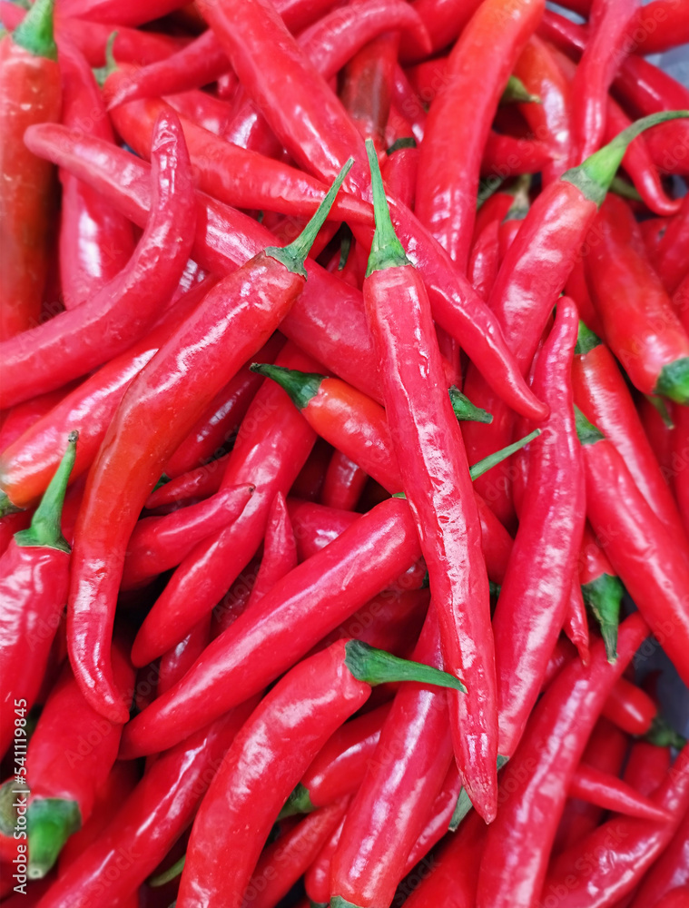 Chili peppers on vegetable shelf in store Farmer's Market Organic.