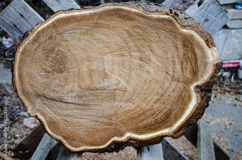 Wooden stump. Wood texture. Sawn tree with annual rings.