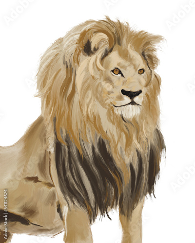 Lion panthera Leo    Digital Art