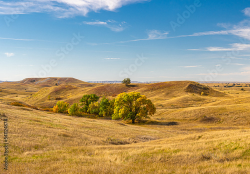 Fotografija Fall Color in Sage Creek, Sage Creek Wilderness Area, Badlands National Park, So