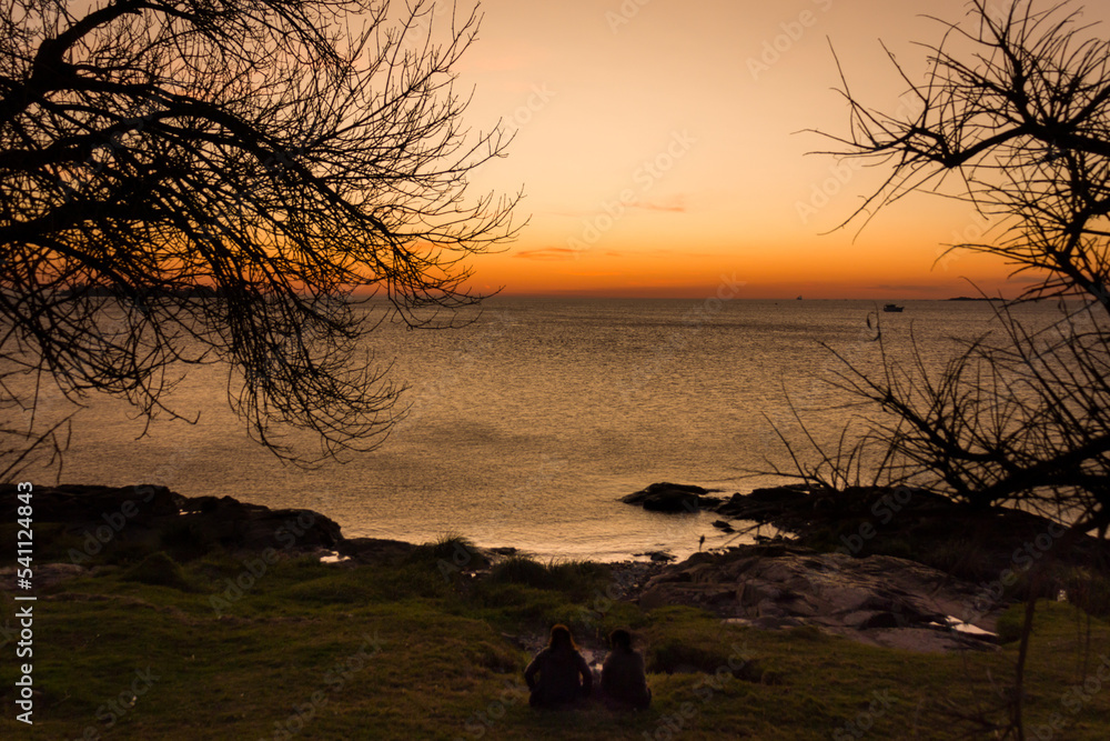 Obraz premium Contraluz de ramas de árboles al atardecer en una playa
