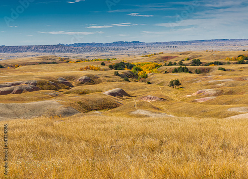 Fotografija Fall Color in Sage Creek, Sage Creek Wilderness Area, Badlands National Park, So