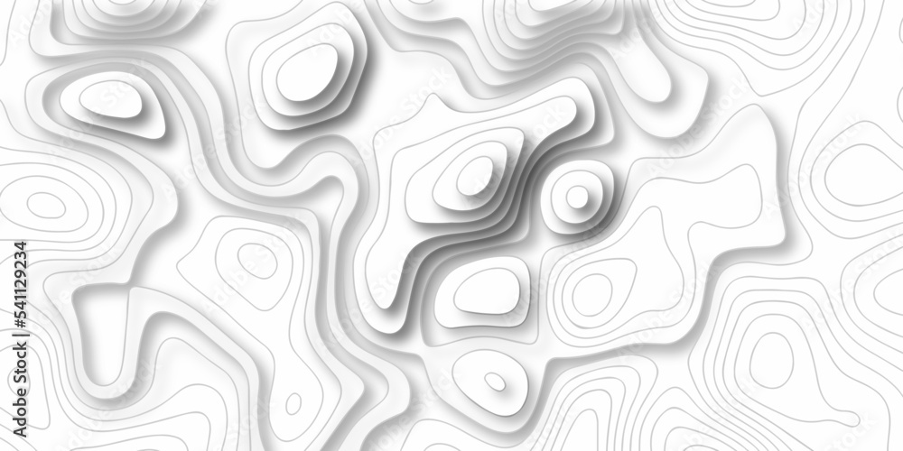 Abstracts topographic map background. Line topography map and mounte contour background, geographic grid. Abstract vector illustration.