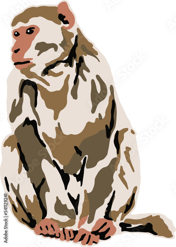 monkey handdrawing vector