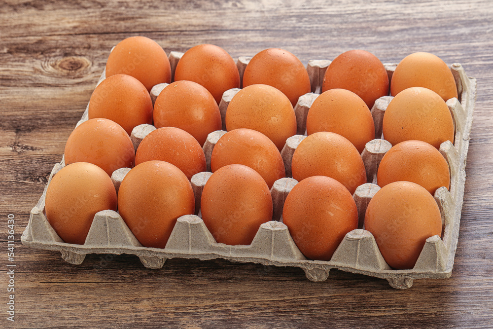 Organic chicken egg in the carton Organic chicken egg in the carton
