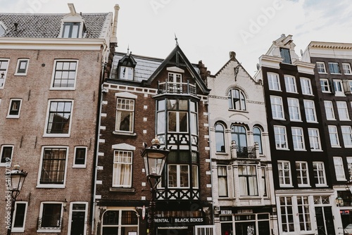 Photography Choose Your Fall