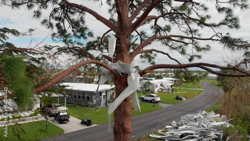 4K Drone Video of Aluminum Debris Stuck in Pine Tree from Hurricane Ian in North Port, FL - 06 photo