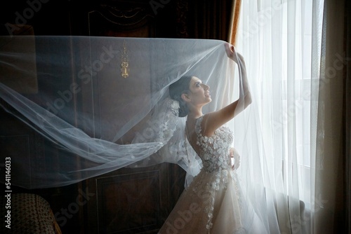 Photography Beautiful young girl bride in a white wedding dress standing against the window