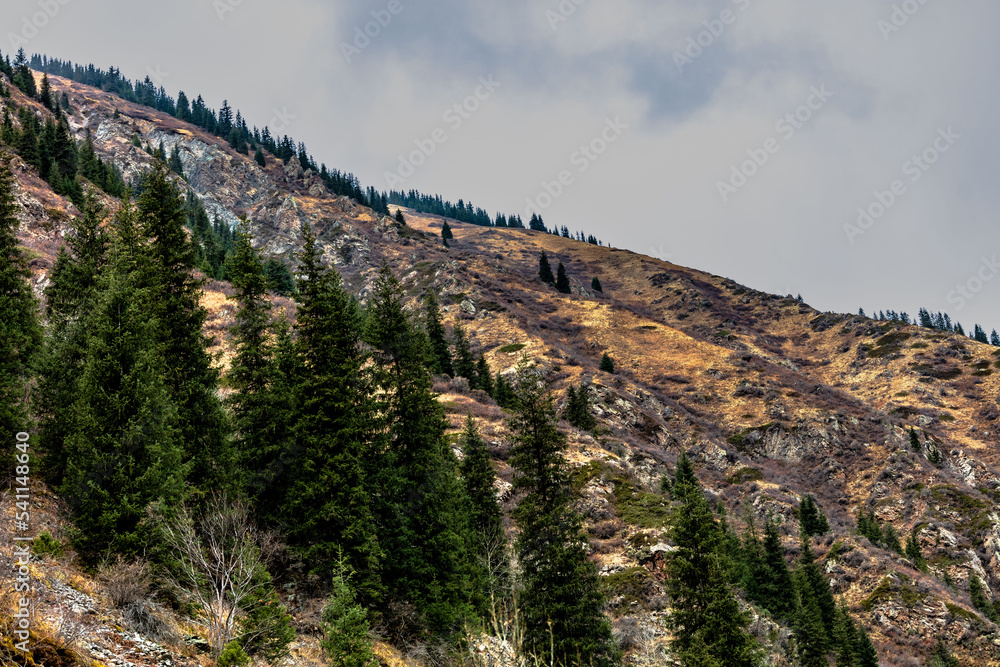 Fototapeta premium grand canyon state country