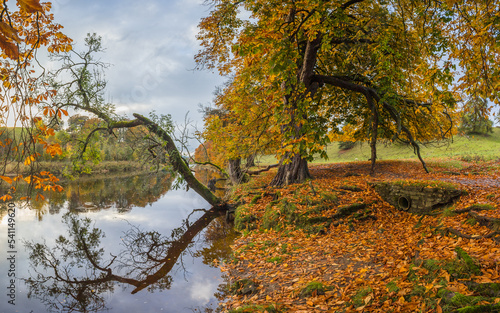 Autumnal colours along the River Wharfe