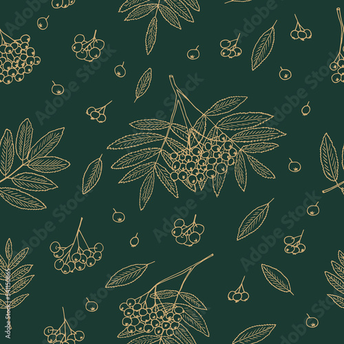 rowan berries, bunches and leaves seamless pattern hand drawn in doodle style.