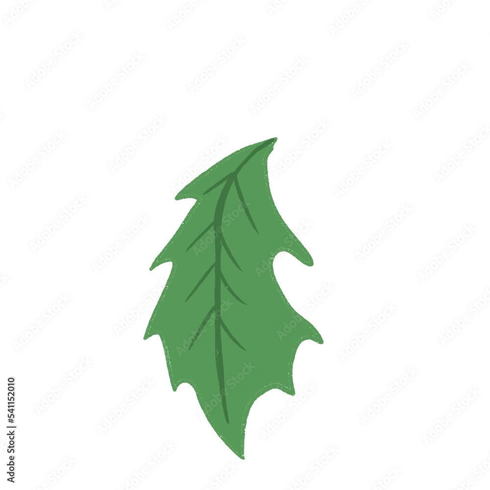 Leaves Leaves