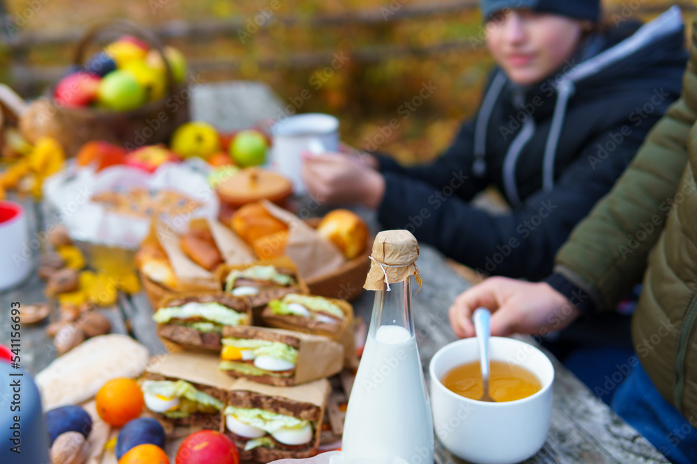 picnic in the autumn season, food on a wooden table, hot tea, pastries and sandwiches picnic in the autumn season, food on a wooden table, hot tea, pastries and sandwiches