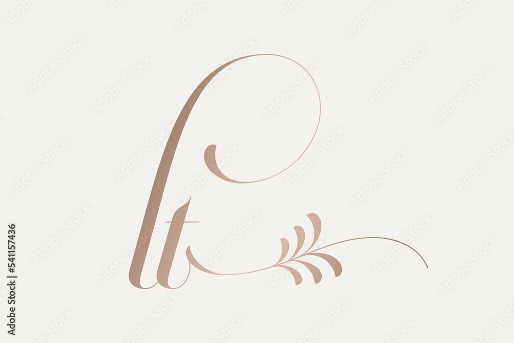 LT monogram logo.Calligraphic signature icon.Rose gold color letter l, letter t.Lettering sign.Wedding, fashion, beauty, gift boutique alphabet initials.Decorative, ornamental style characters. LT monogram logo.Calligraphic signature icon.Rose gold color letter l, letter t.Lettering sign.Wedding, fashion, beauty, gift boutique alphabet initials.Decorative, ornamental style characters.