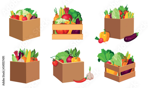 Set a basket of vegetables in cartoon style. Vector illustration of different vegetables in boxes and crates on white background.