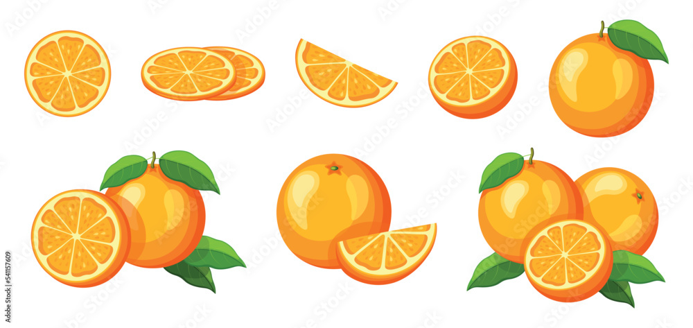 Set of fresh yellow orange in cartoon style. Vector illustration of fruits whole and cut, large and small sizes with leaves on white background. Set of fresh yellow orange in cartoon style. Vector illustration of fruits whole and cut, large and small sizes with leaves on white background.