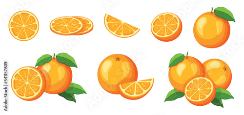 Set of fresh yellow orange in cartoon style. Vector illustration of fruits whole and cut, large and small sizes with leaves on white background.