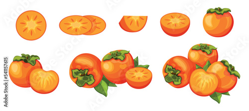Set of fresh yellow persimmons in cartoon style. Vector illustration of fruits whole and cut, large and small sizes with leaves on white background.