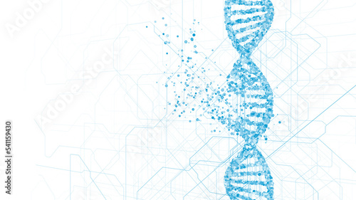 DNA molecule, illustration