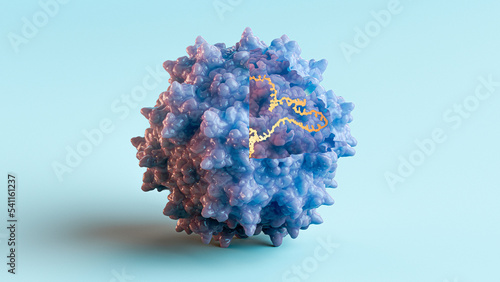 Adeno-associated virus, illustration photo