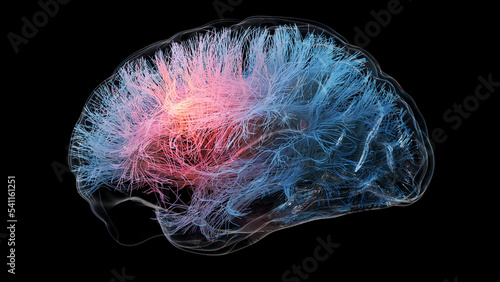Brain tractography, illustration photo