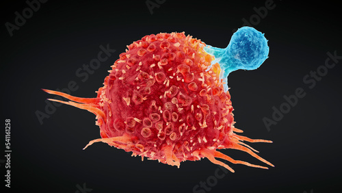 Destruction of a cancer cell, illustration photo