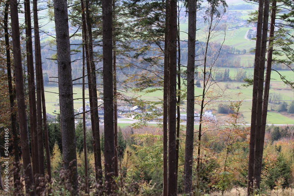 Buchberg StockFoto Adobe Stock