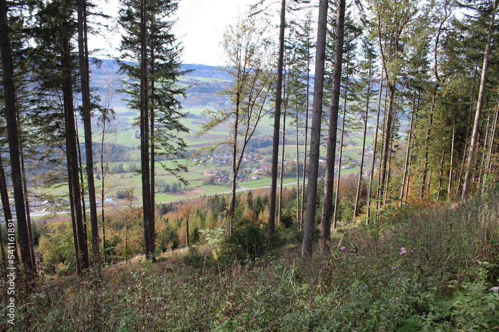 Fototapeta premium Buchberg