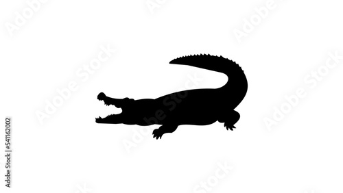 Crocodile silhouette photo