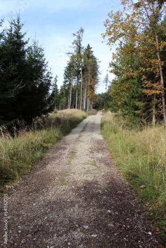 Buchberg