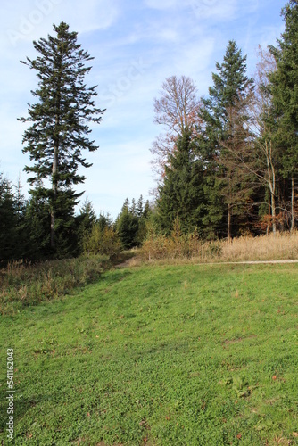 Buchberg