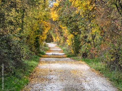 Fototapeta Naklejka Na Ścianę i Meble -  autumn nature in a czech countryside landscape and forest
