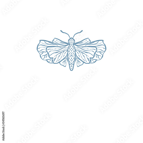 Moth, Butterfly Insect illustration logo png (ID: 541165697)