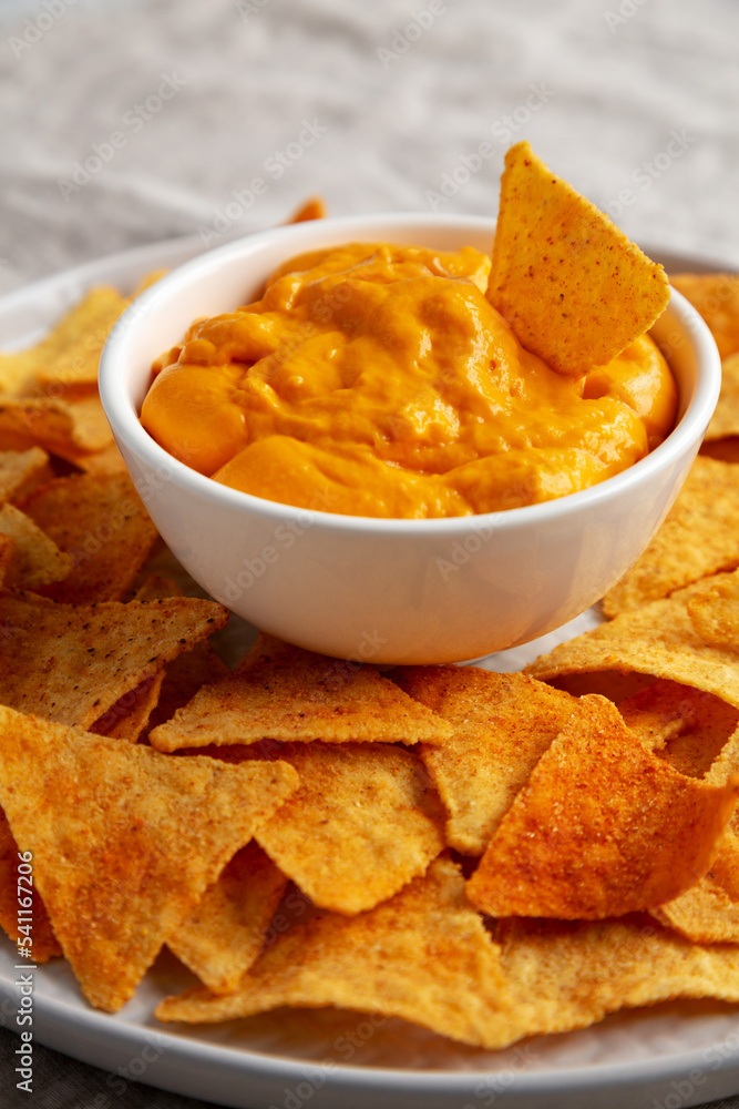 Cheese dip with tortilla chips, side view. Close-up. Cheese dip with tortilla chips, side view. Close-up.