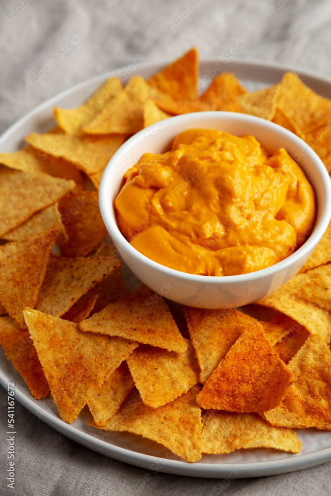 Cheese dip with tortilla chips, side view. Close-up. Cheese dip with tortilla chips, side view. Close-up.