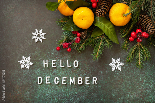 Hello december text. Cozy winter mood. Winter composition with fir branches, cones and tangerines on a stone background. Seasons greeting card.