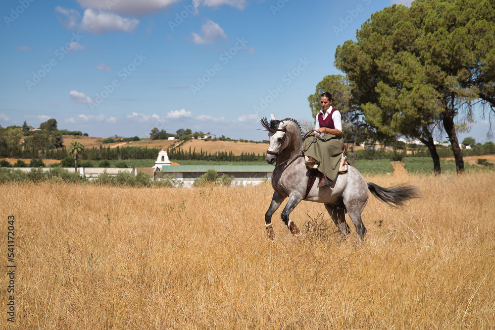 Woman horsewoman, young and beautiful, performing cowgirl dressage exercises with her horse, in the countryside. Concept horse riding, animals, dressage, horsewoman, cowgirl.