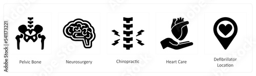 Pelvic Bone, Neurosurgery, Chiropractic